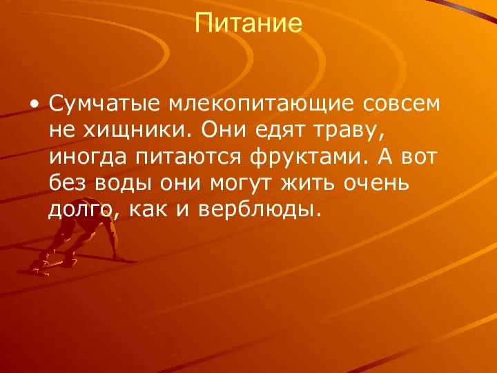 Питание Сумчатые млекопитающие совсем не хищники. Они едят траву, иногда питаются фруктами.