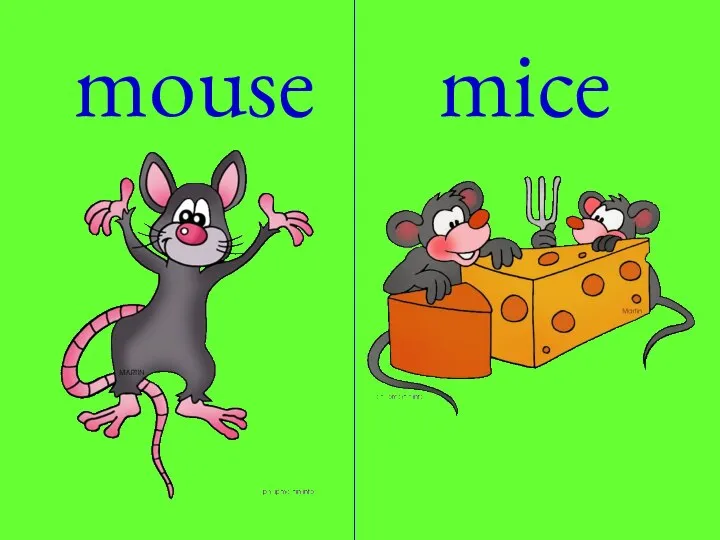mouse mice