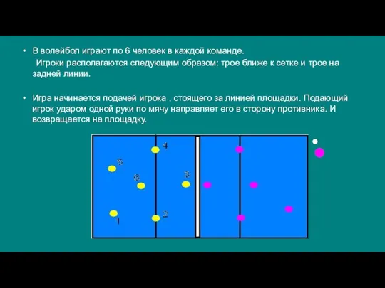 В волейбол играют по 6 человек в каждой команде. Игроки располагаются следующим