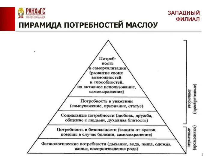 ПИРАМИДА ПОТРЕБНОСТЕЙ МАСЛОУ ЗАПАДНЫЙ ФИЛИАЛ