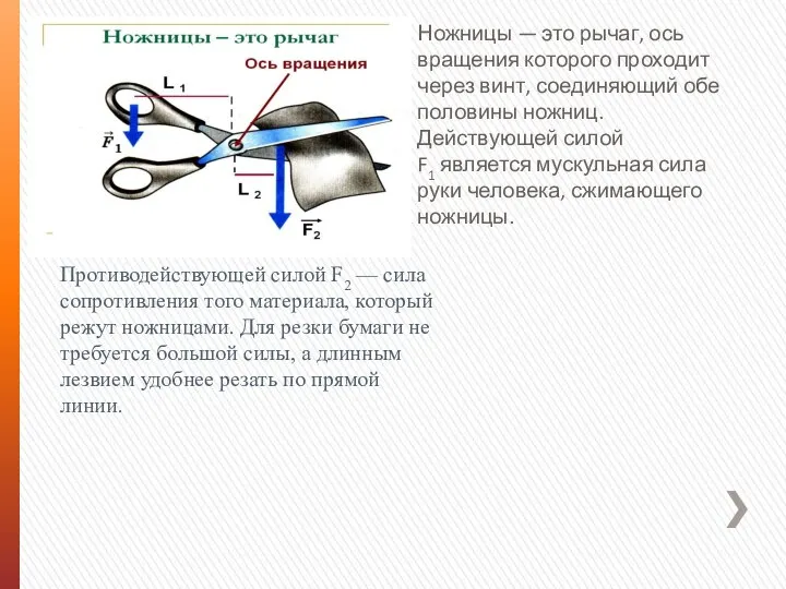 Ножницы — это рычаг, ось вращения которого проходит через винт, соединяющий обе