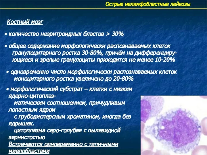 Острые нелимфобластные лейкозы Костный мозг количество неэритроидных бластов > 30% общее содержание