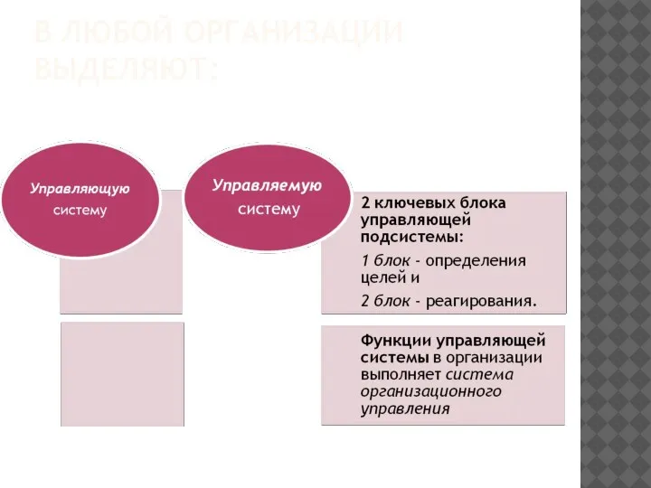 В ЛЮБОЙ ОРГАНИЗАЦИИ ВЫДЕЛЯЮТ: