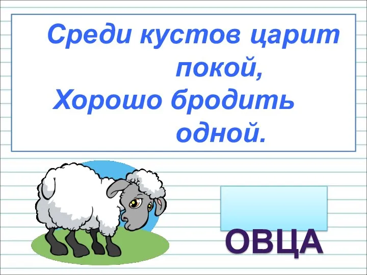 Среди кустов царит покой, Хорошо бродить одной. ОВЦА