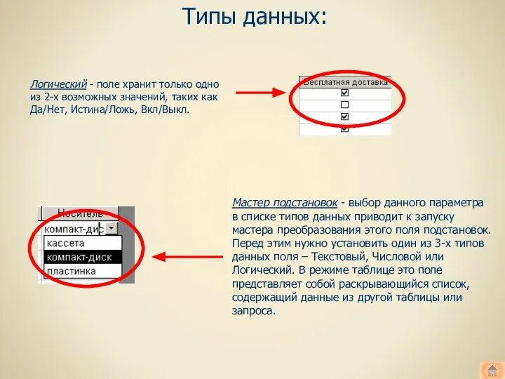 Типы данных: Логический - поле хранит только одно из 2-х возможных значений,