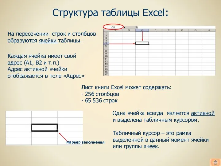 На пересечении строк и столбцов образуются ячейки таблицы. Каждая ячейка имеет свой