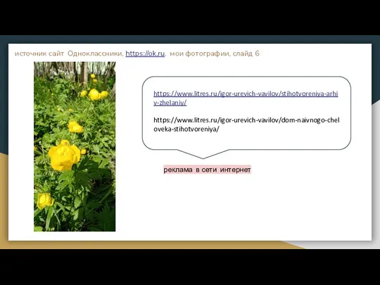 источник сайт Одноклассники, https://ok.ru. мои фотографии, слайд 6 https://www.litres.ru/igor-urevich-vavilov/stihotvoreniya-arhiv-zhelaniy/ https://www.litres.ru/igor-urevich-vavilov/dom-naivnogo-cheloveka-stihotvoreniya/ реклама в сети интернет