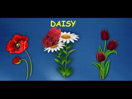 DAISY