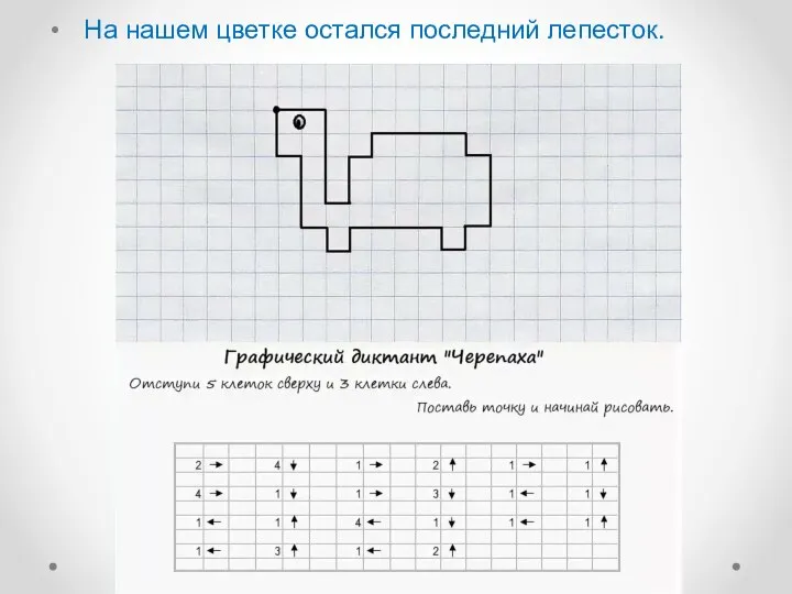 На нашем цветке остался последний лепесток.