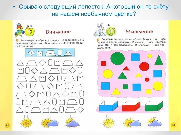 Срываю следующий лепесток. А который он по счёту на нашем необычном цветке?