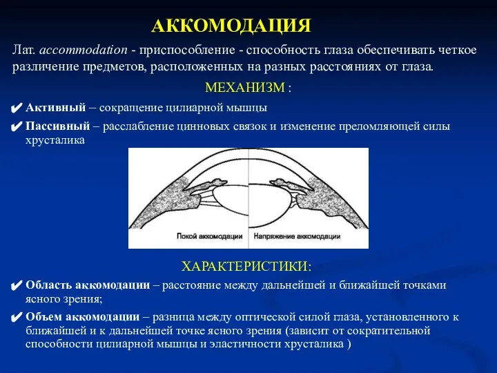 АККОМОДАЦИЯ Лат. accommodation - приспособление - способность глаза обеспечивать четкое различение предметов,