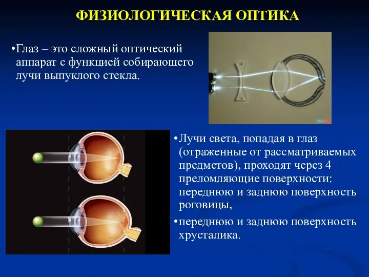 к ее основанию Глаз – это сложный оптический аппарат с функцией собирающего