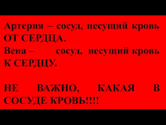 Артерия – сосуд, несущий кровь ОТ СЕРДЦА. Вена – сосуд, несущий кровь