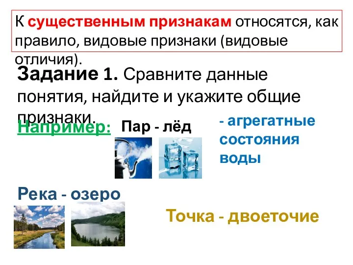 К существенным признакам относятся, как правило, видовые признаки (видовые отличия). Задание 1.