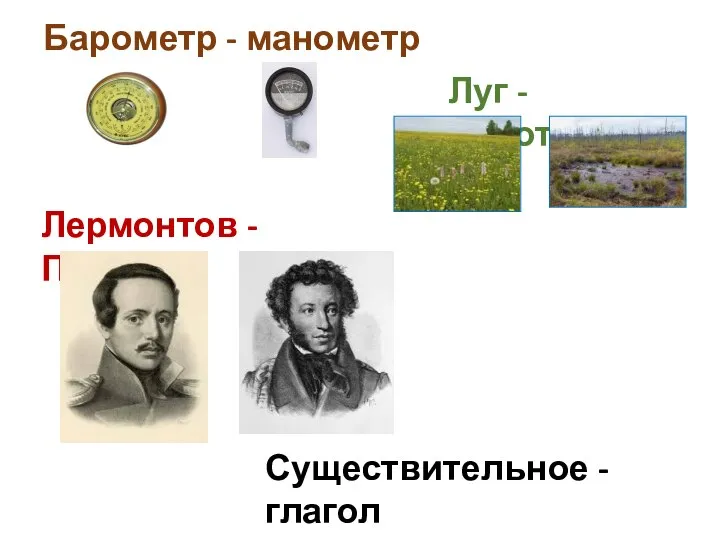 Лермонтов - Пушкин Луг - болото Барометр - манометр Существительное - глагол