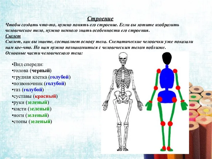 Строение Чтобы создать что-то, нужно понять его строение. Если вы хотите изобразить