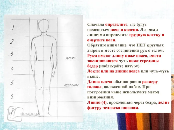 Сначала определите, где будут находиться пояс и колени. Легкими линиями определите грудную