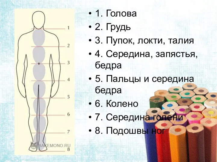 1. Голова 2. Грудь 3. Пупок, локти, талия 4. Середина, запястья, бедра