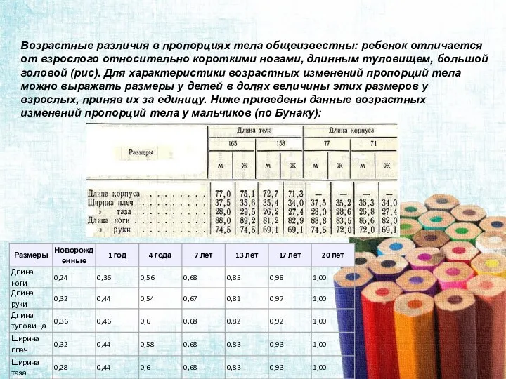 Возрастные различия в пропорциях тела общеизвестны: ребенок отличается от взрослого относительно короткими