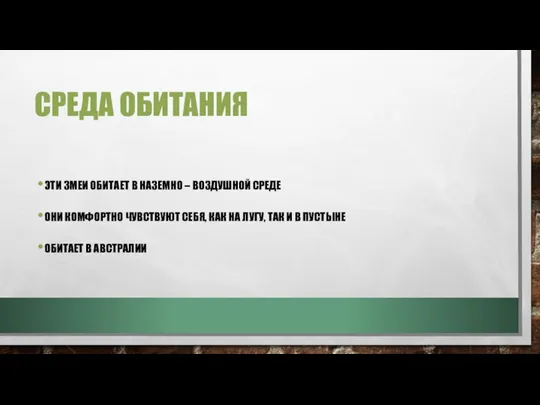 СРЕДА ОБИТАНИЯ ЭТИ ЗМЕИ ОБИТАЕТ В НАЗЕМНО – ВОЗДУШНОЙ СРЕДЕ ОНИ КОМФОРТНО