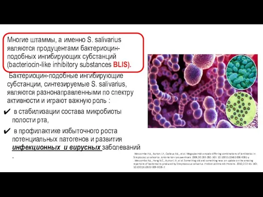 Многие штаммы, а именно S. salivarius являются продуцентами бактериоцин-подобных ингибирующих субстанций (bacteriocin-like