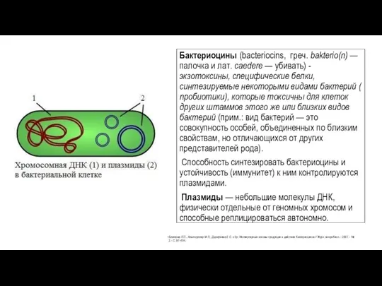 Бактериоцины (bacteriocins, греч. bakterio(n) — палочка и лат. caedere — убивать) -