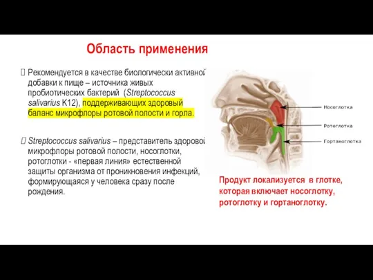 Область применения Рекомендуется в качестве биологически активной добавки к пище – источника