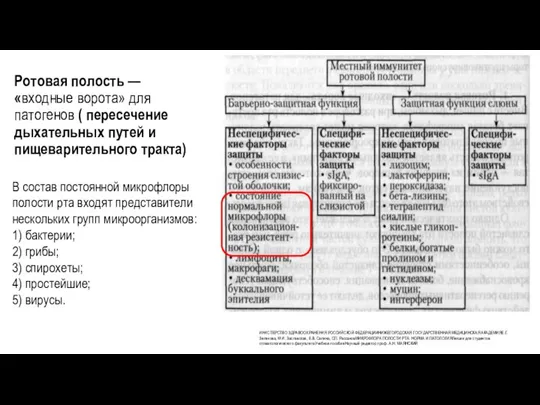 Ротовая полость —«входные ворота» для патогенов ( пересечение дыхательных путей и пищеварительного