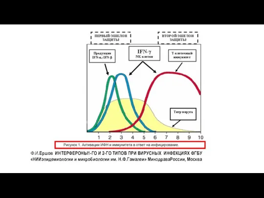 Ф.И.Ершов ИНТЕРФЕРОНЫ1-ГО И 2-ГО ТИПОВ ПРИ ВИРУСНЫХ ИНФЕКЦИЯХ ФГБУ «НИИэпидемиологии и микробиологии им. Н.Ф.Гамалеи» МинздраваРоссии, Москва