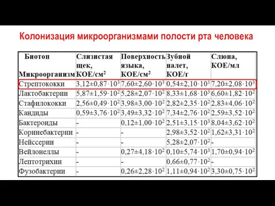 Колонизация микроорганизмами полости рта человека