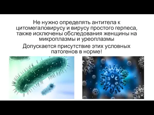 Не нужно определять антитела к цитомегаловирусу и вирусу простого герпеса, также исключены