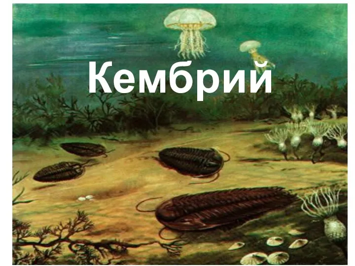 Кембрий