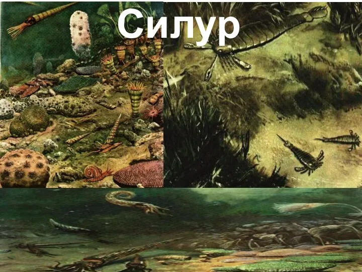 Силур