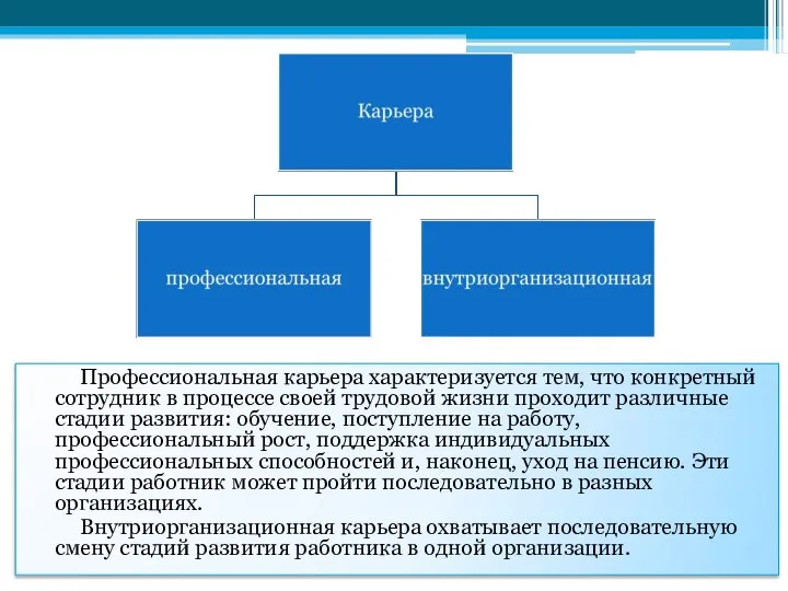 Профессиональная карьера характеризуется тем, что конкретный сотрудник в процессе своей трудовой жизни