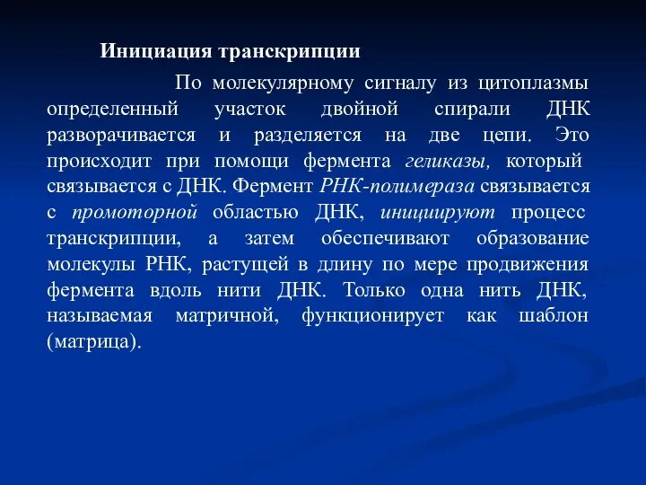 Инициация транскрипции По молекулярному сигналу из цитоплазмы определенный участок двойной спирали ДНК