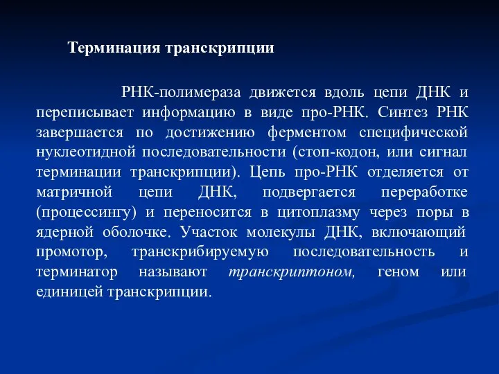 Терминация транскрипции РНК-полимераза движется вдоль цепи ДНК и переписывает информацию в виде