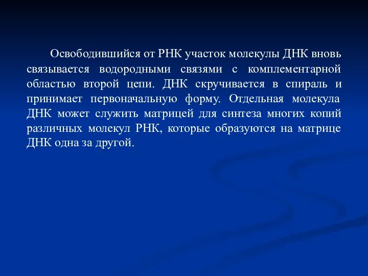 Освободившийся от РНК участок молекулы ДНК вновь связывается водородными связями с комплементарной