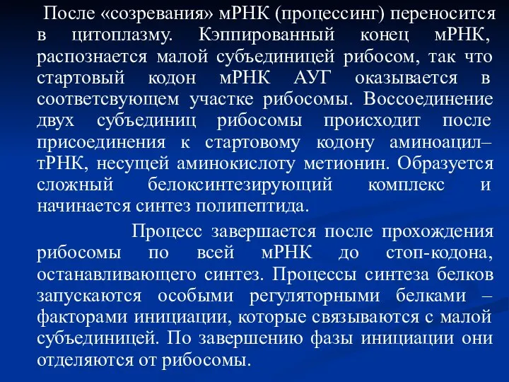 После «созревания» мРНК (процессинг) переносится в цитоплазму. Кэппированный конец мРНК, распознается малой