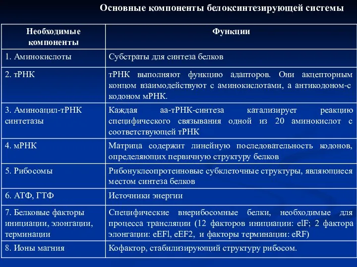 Основные компоненты белоксинтезирующей системы