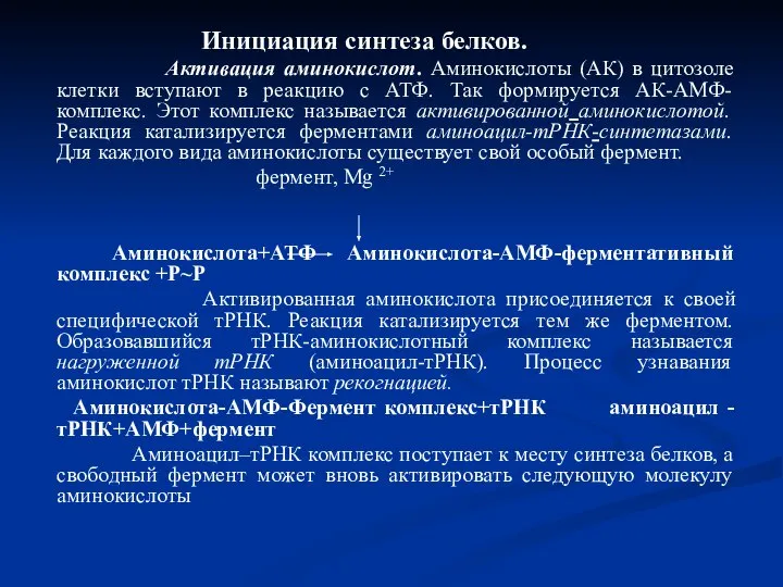 Инициация синтеза белков. Активация аминокислот. Аминокислоты (АК) в цитозоле клетки вступают в