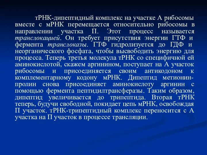 тРНК-дипептидный комплекс на участке А рибосомы вместе с мРНК перемещается относительно рибосомы