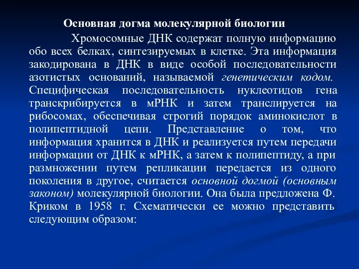 Основная догма молекулярной биологии Хромосомные ДНК содержат полную информацию обо всех белках,