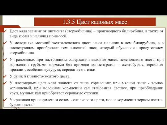 1.3.5 Цвет каловых масс Цвет кала зависит от пигмента (стеркобилина) – производного