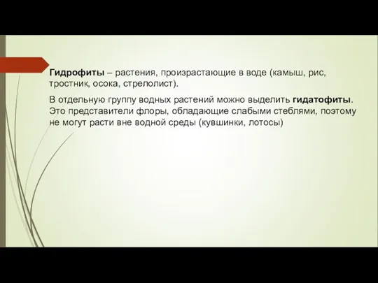 Гидрофиты – растения, произрастающие в воде (камыш, рис, тростник, осока, стрелолист). В