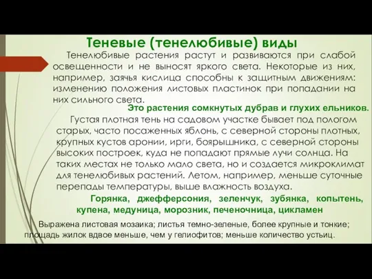 Теневые (тенелюбивые) виды Тенелюбивые растения растут и развиваются при слабой освещенности и