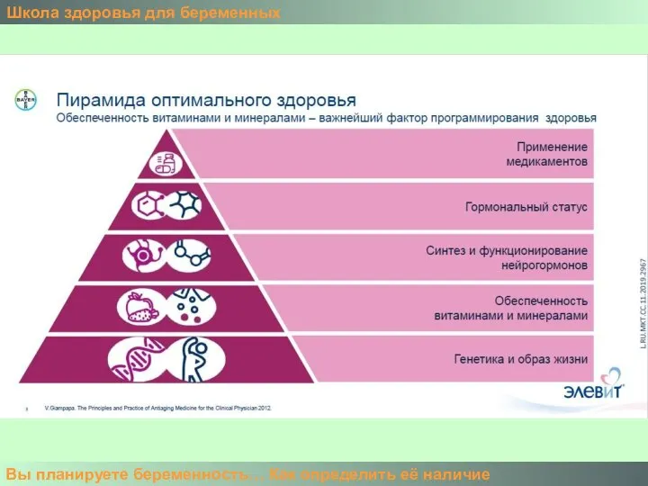 Школа здоровья для беременных Вы планируете беременность… Как определить её наличие