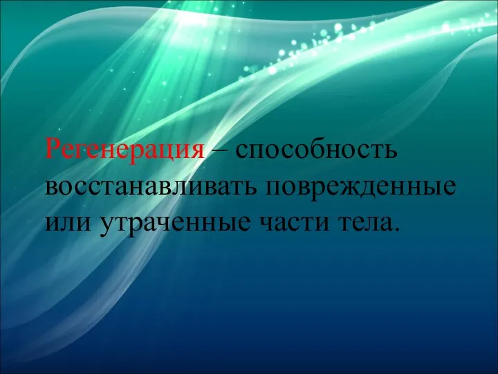 Регенерация – способность восстанавливать поврежденные или утраченные части тела.