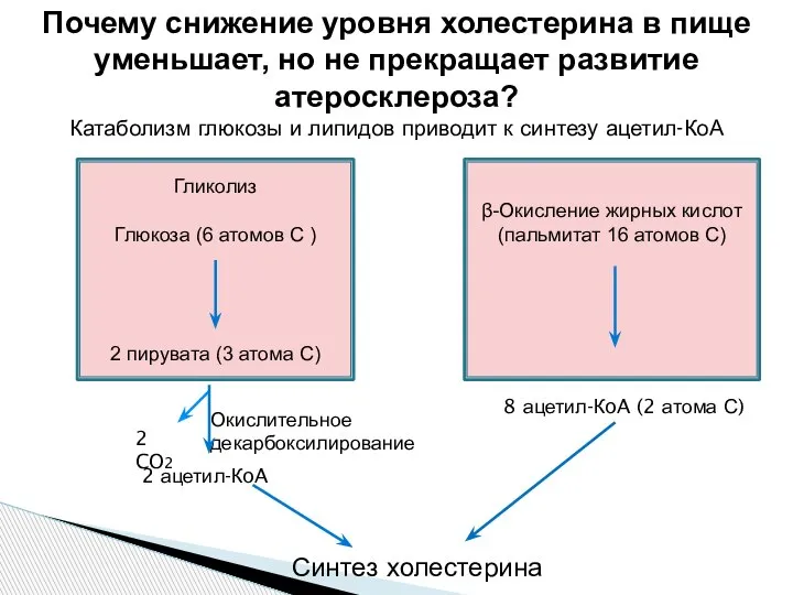 Почему снижение уровня холестерина в пище уменьшает, но не прекращает развитие атеросклероза?