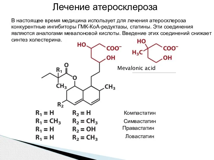 Mevalonic acid Компастатин Симвастатин Правастатин Ловастатин В настоящее время медицина использует для