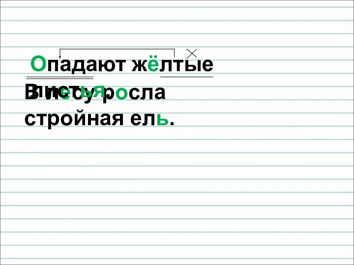 В лесу росла стройная ель. Опадают жёлтые листья.